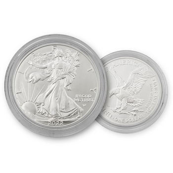 2022 Silver Eagle - Uncirculated with Display Pouch