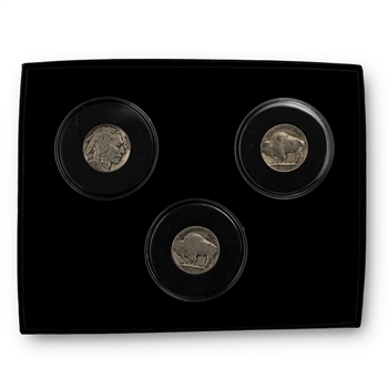 Buffalo Nickel Mint Mark Collection - P D & S - Display Box