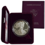 1991 Silver Eagle Government Issue - Proof