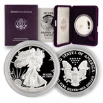 1993 Silver Eagle Government Issue - Proof